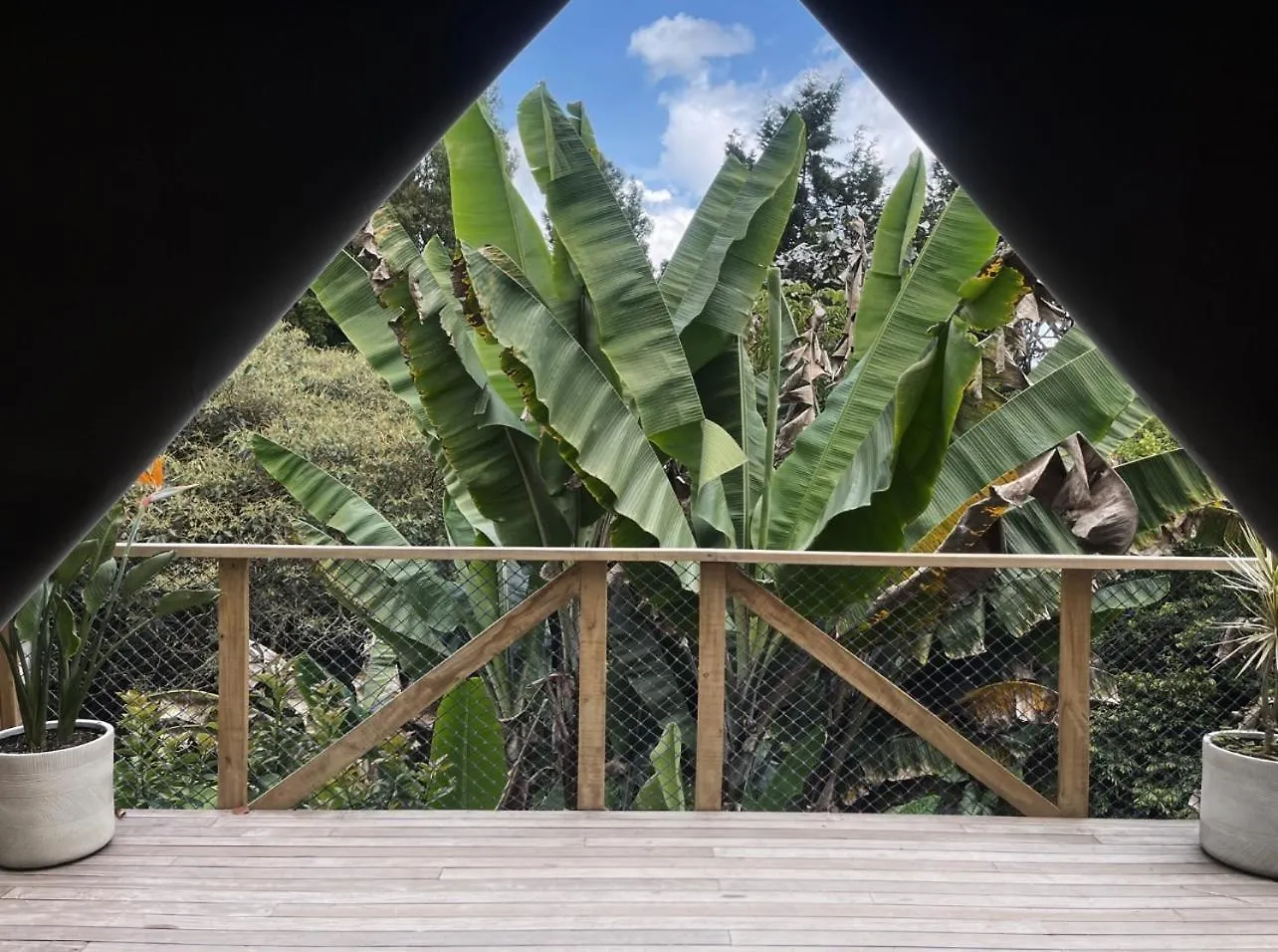 Отель Teva Glamping & Retreat Рионегро 3*,  Колумбия