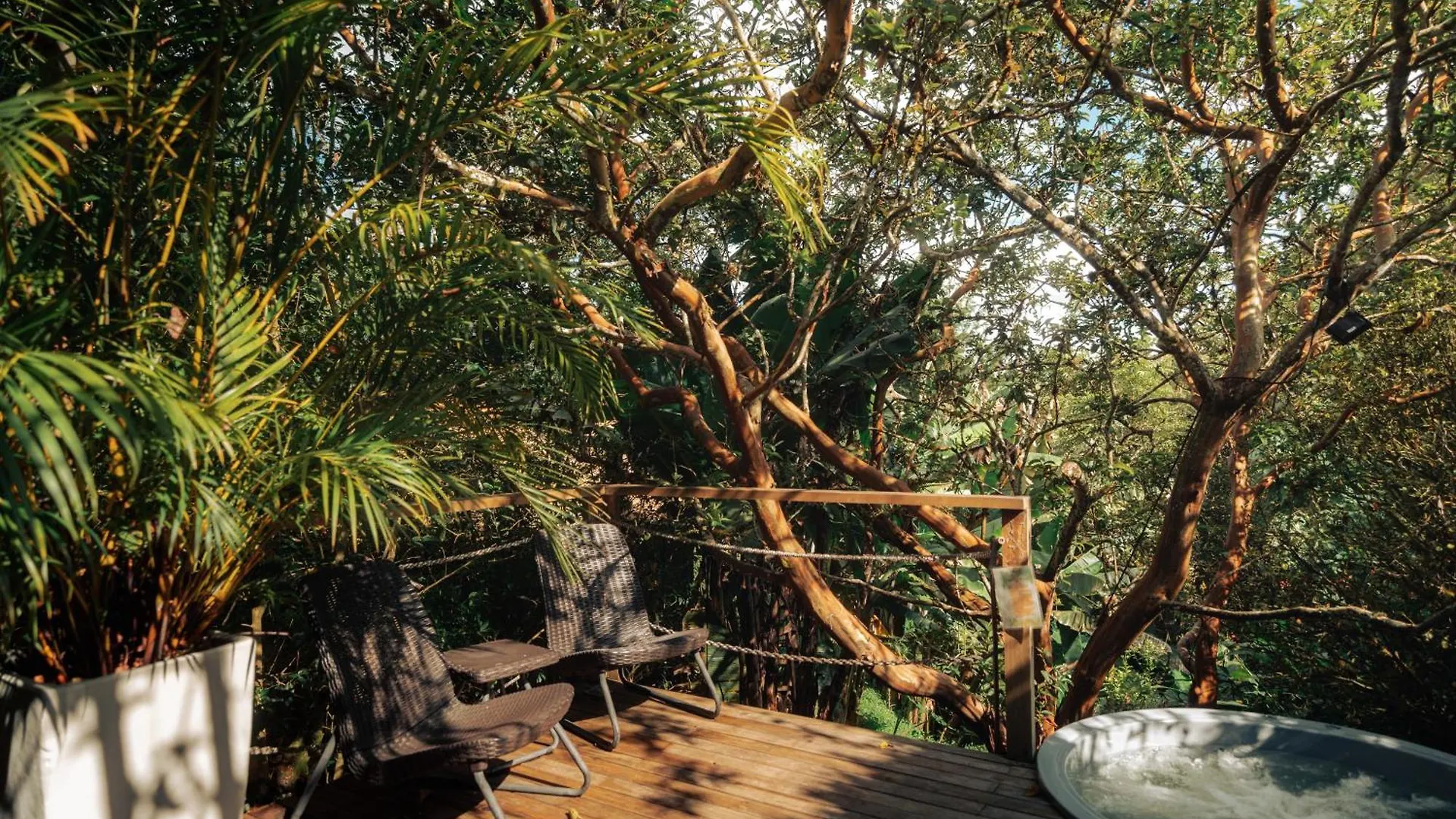 Luxury tent Teva Glamping & Retreat Hotel Rionegro